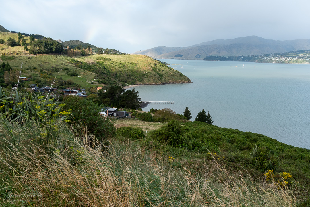 Ricciton Harbour before you leave Christchurch